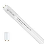 Ledvance LED Buis T8 Performance (UN) Ultra Output 15W 2400lm - 840 Koel Wit | 120cm - Vervangt 36W